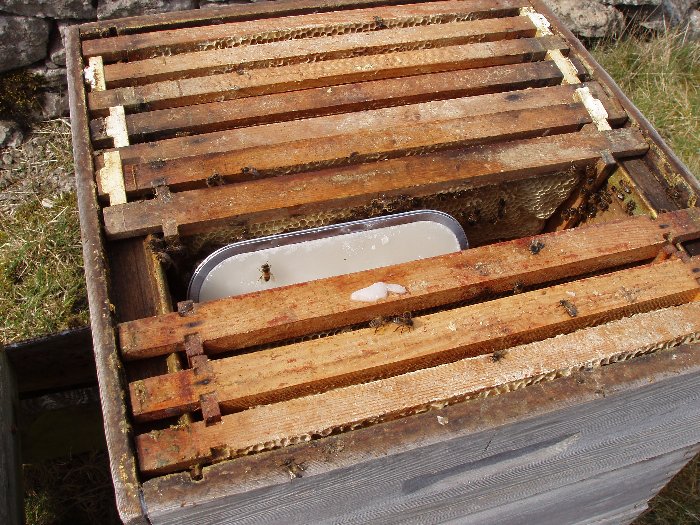 Candy placed inside a hive